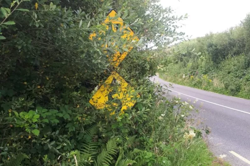 Claims hedge cutting system in Kerry frustrating public, engineers and councillors
