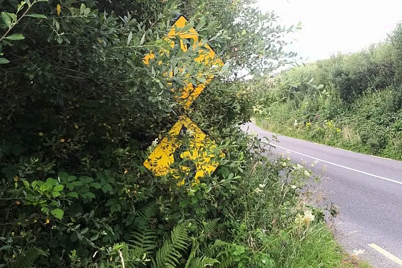 Killarney councillor urges council to take out ads reminding landowners to cut overgrown hedges