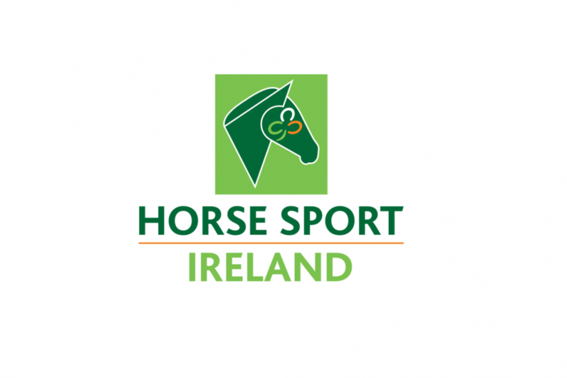 Former Kerry Group chair appointed chair of interim Board of Horse Sport Ireland