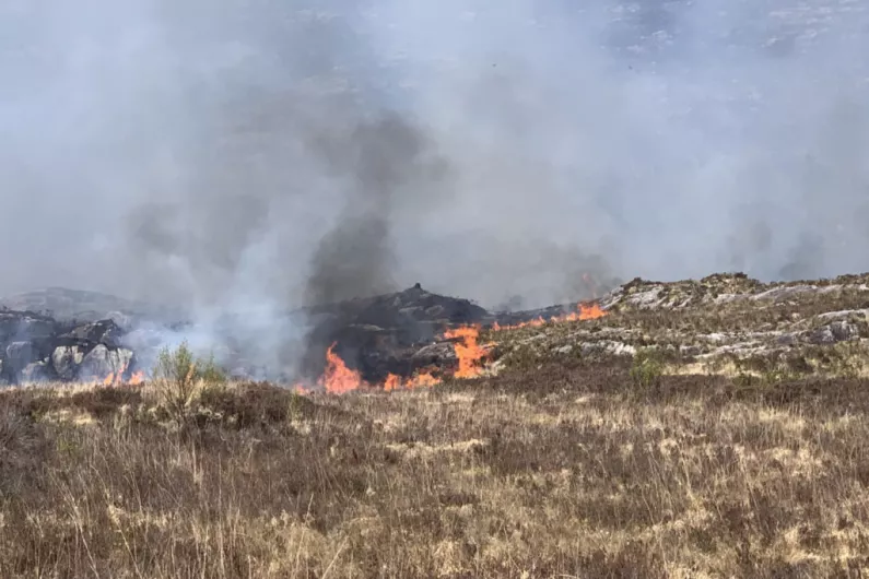 Fire services still tackling large blaze in Killarney National Park