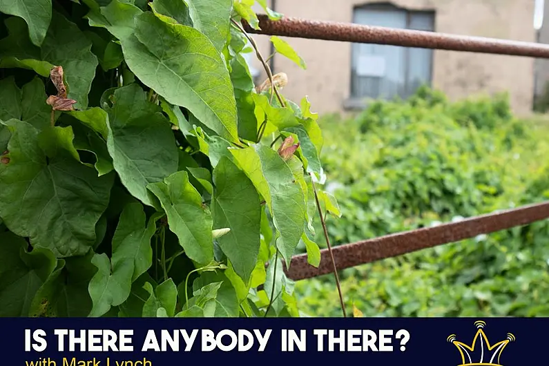 Is There Anybody in There? An Investigation into Derelict and Vacant Properties &ndash; March 27th, 2023