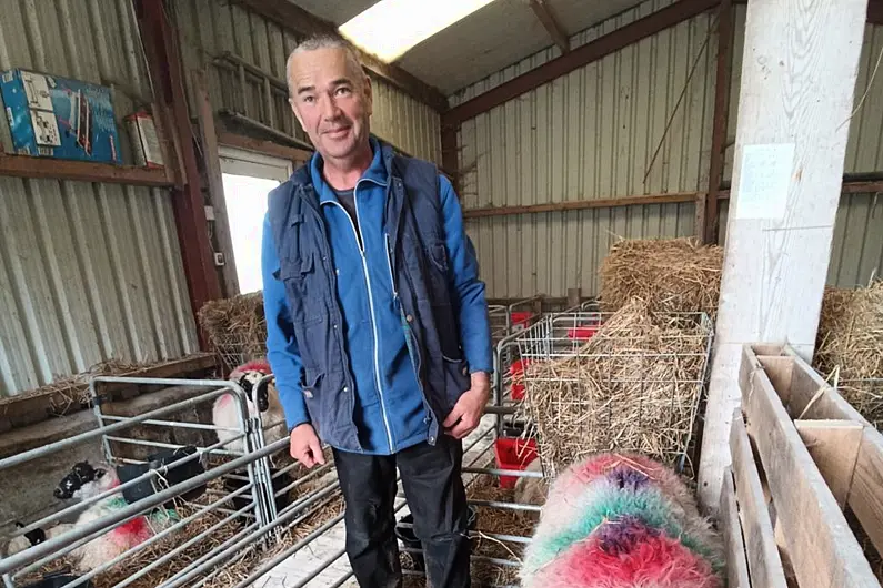 Prominent Kerry IFA figure resigns