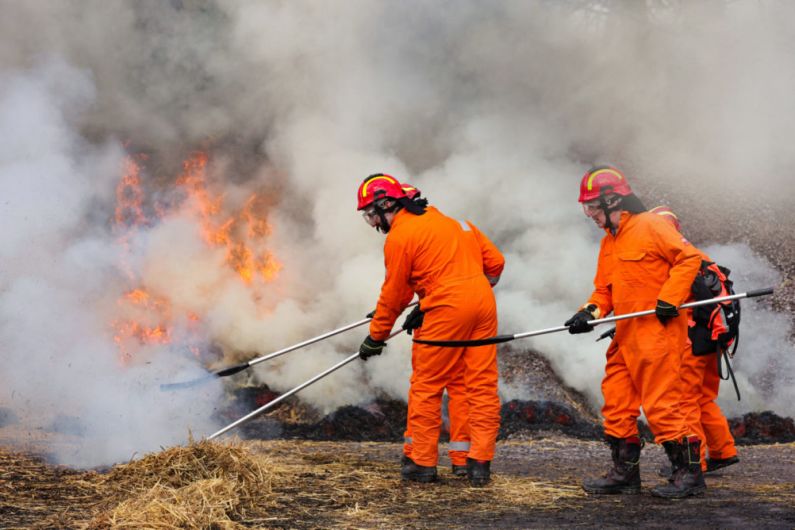 Killarney National Park staff taking specialist training to prevent repeat of 2021 wildfire devastation