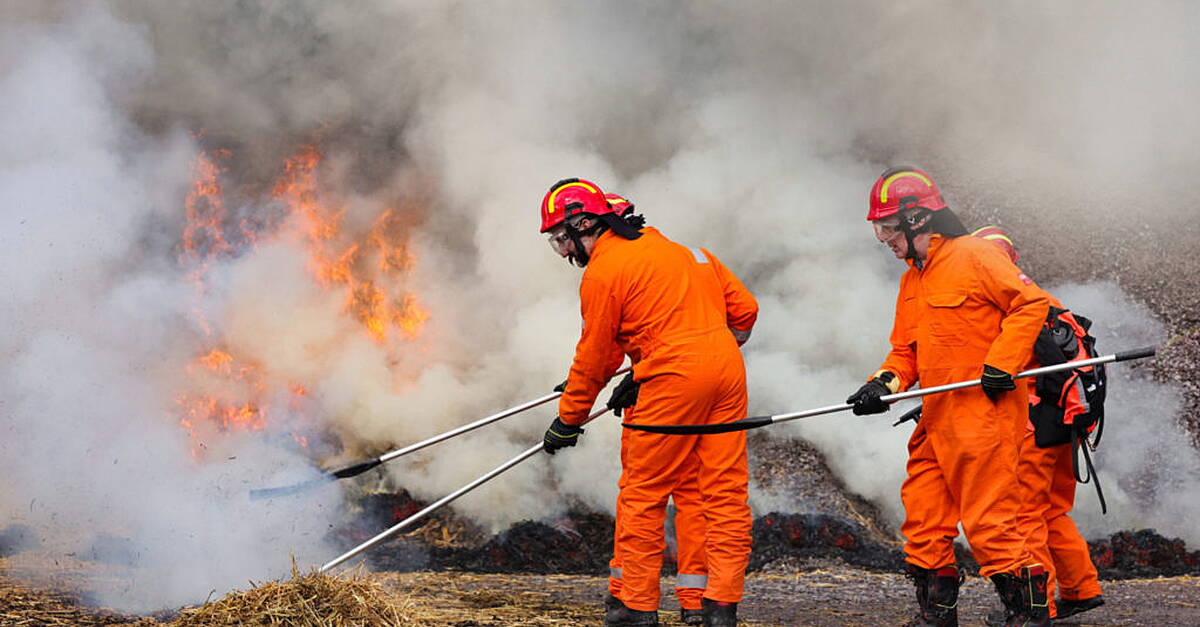 Killarney National Park staff taking specialist training to prevent repeat of 2021 wildfire devastation - Vimarsana News