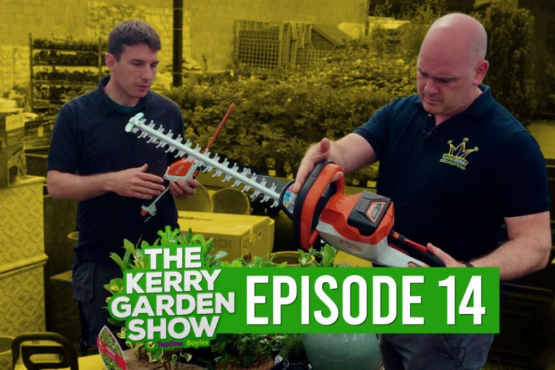 Kerry Garden Show | Late Bloomers and Gardening Equipment | Episode 14