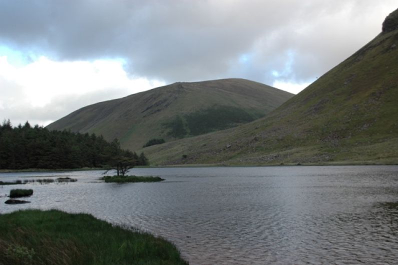 Killarney National Park comes first in Ireland in BioBlitz