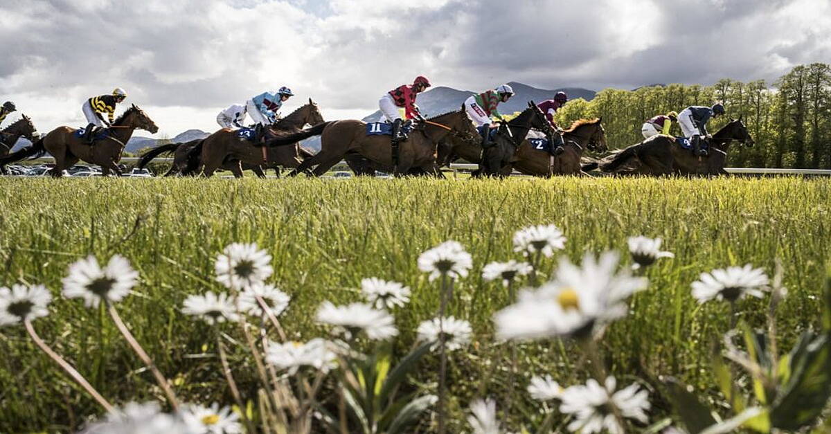 Day 2 Of The Dingle Races Draws To A Close | RadioKerry.ie