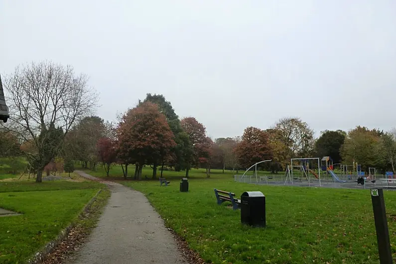 Work to begin Monday to fell trees in Listowel Town Park