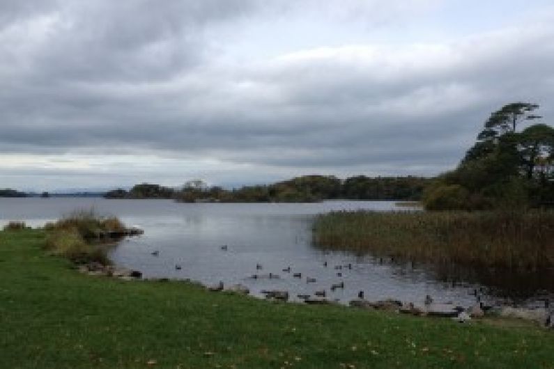 Warning signs erected for potential algal growth in Killarney