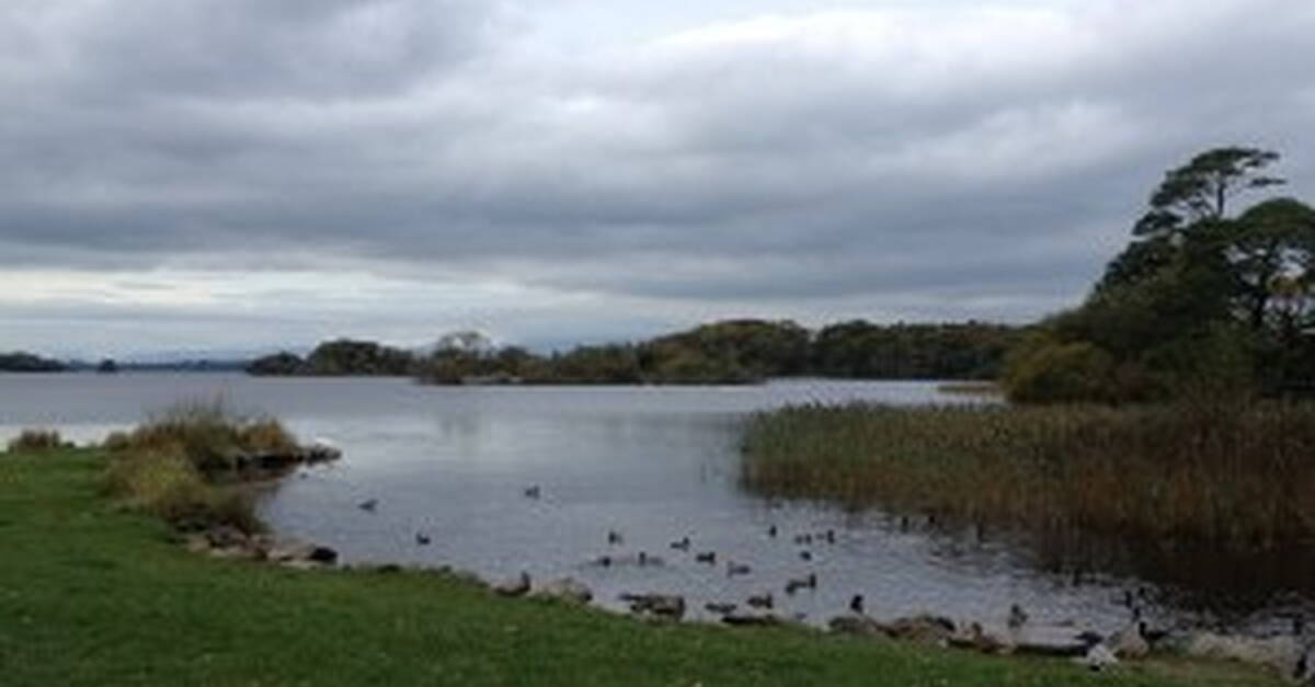 Agreement hasn't been secured with landowners over section of Lough Leane loop - Vimarsana News
