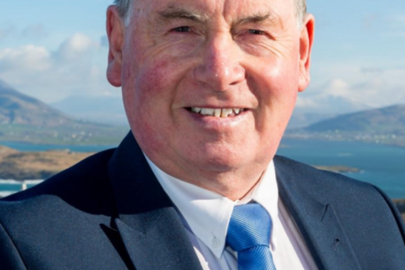 Former Fine Gael South Kerry chair says the party is &quot;in tatters&quot;