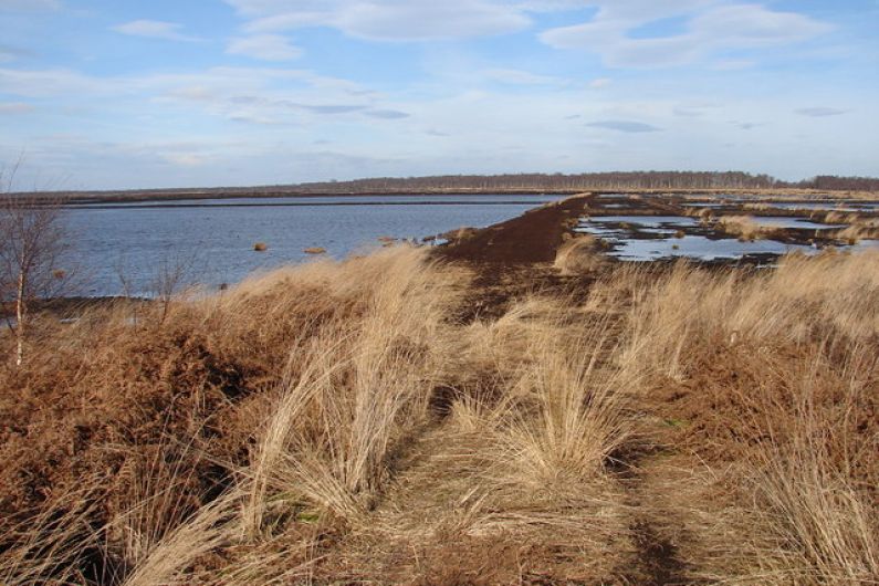 Over €6,000 in funding to preserve Kerry’s peatlands