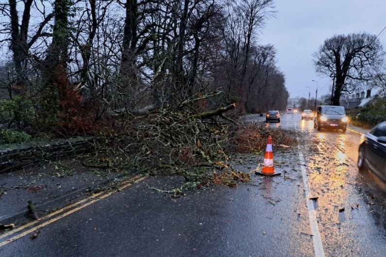 Council to review roadside trees on lands it owns after roads blocked during storm