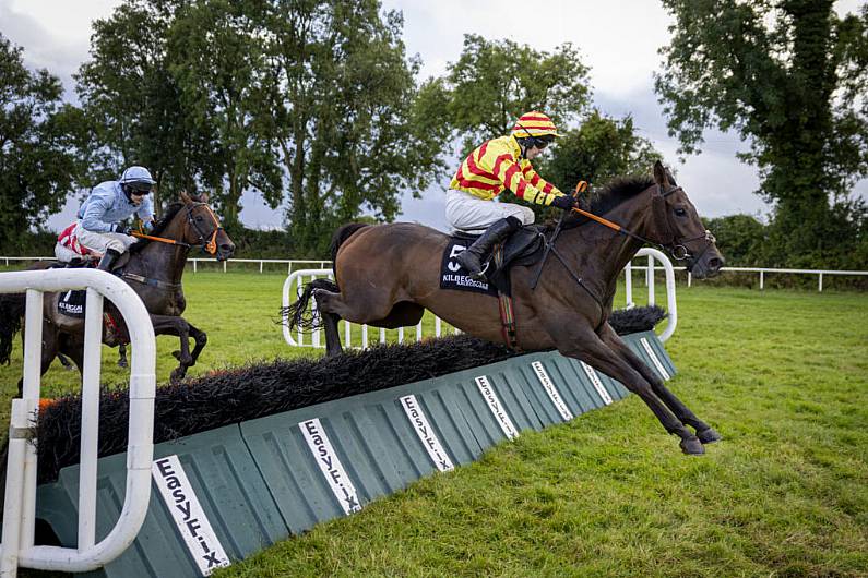 Kerry's Brouder wins Troytown Chase in Navan