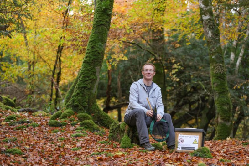 New moth species confirmed in Killarney National Park