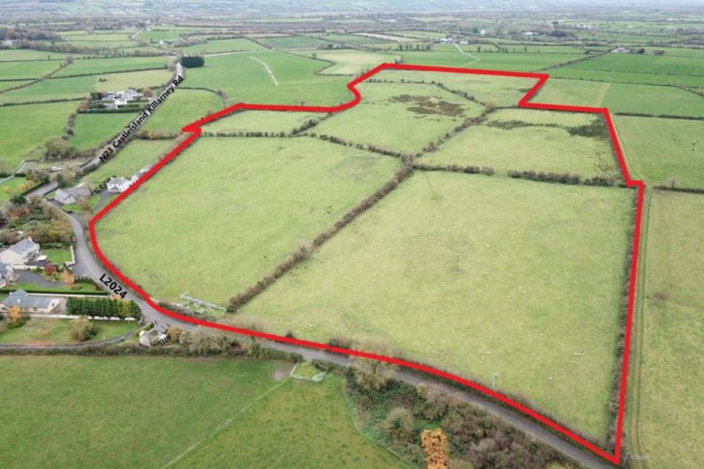 Agricultural land in Castleisland sells for €1.175 million