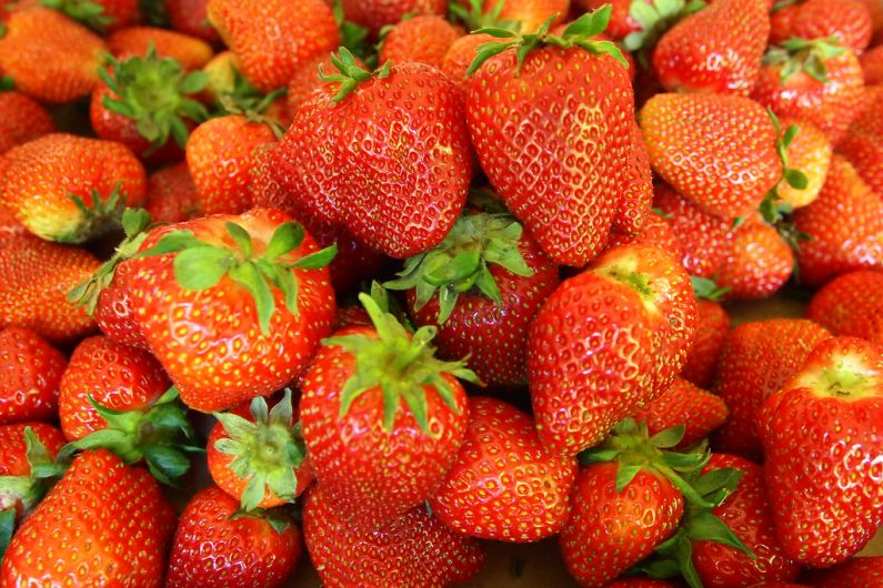 Kerry strawberry grower hoping horticulture can continue to use peat
