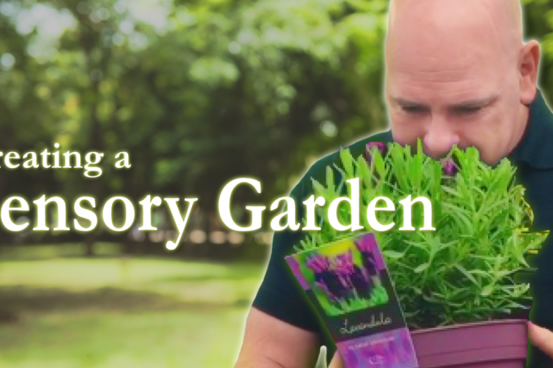 Creating a Sensory Garden | The Kerry Garden Show | Episode 14