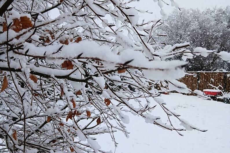 Kerry farmers helping HSE get essential healthcare to areas cut off by snow