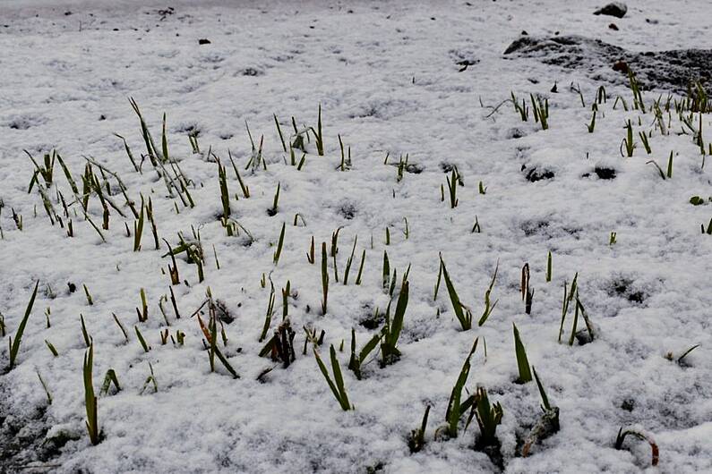 Met &Eacute;ireann warning of widespread frost and hazardous travelling conditions