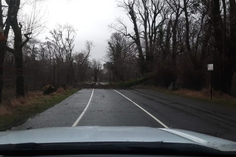 Update on trees down on roads across the county