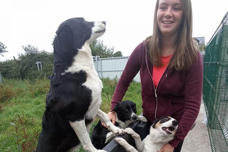 Kerry woman and her dog win bronze medal in World Sheep Dog Trials