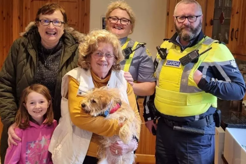 Puppy stolen from North Kerry reunited with her owner after 19 days