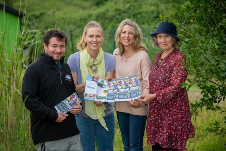 Kerry Wild Bee Festival 2024 is taking place this weekend in Tralee Bay Wetlands