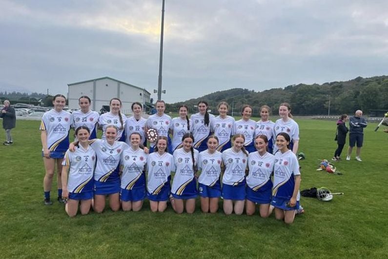 Tralee Parnells Hurling and Camogie Club weekly notes