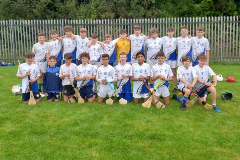 Tralee Parnells Hurling and Camogie Club weekly notes