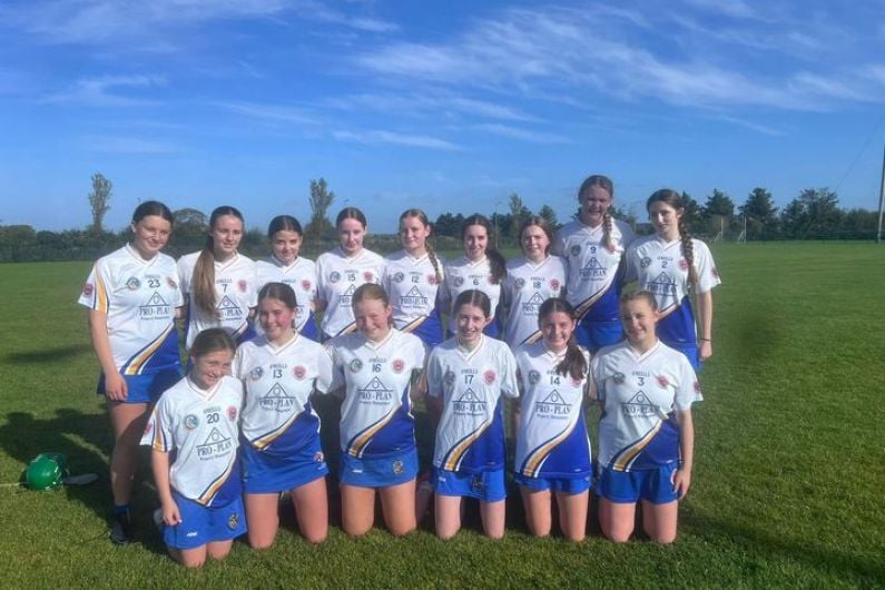 Tralee Parnells Hurling and Camogie Club Weekly Notes