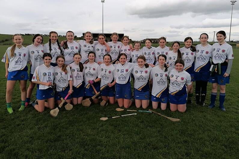 Tralee Parnells Hurling and Camogie Club weekly notes