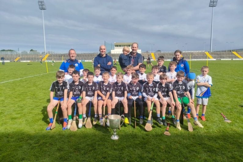 Tralee Parnells Hurling and Camogie Club Weekly Notes