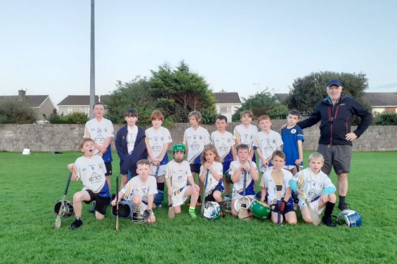 Tralee Parnells Hurling and Camogie Club weekly notes