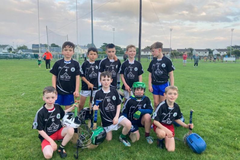 Tralee Parnells Hurling and Camogie Club weekly notes