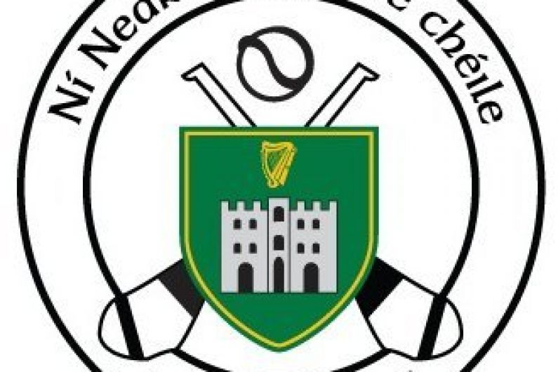 Defeat for Tralee Parnells