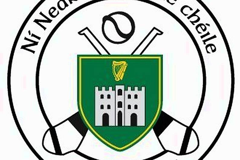 Tralee Parnells in Munster Junior Hurling Quarter-Final action tomorrow