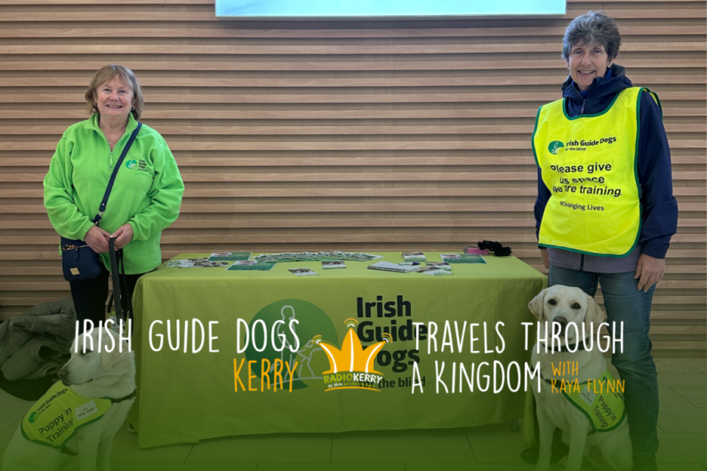 How to Become a Puppy Raiser | Travels Through a Kingdom