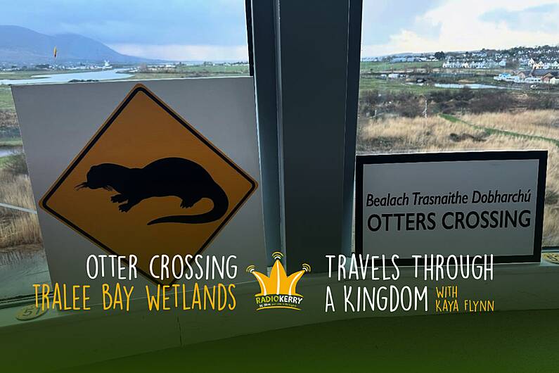 Otter Crossing | Travels Through a Kingdom