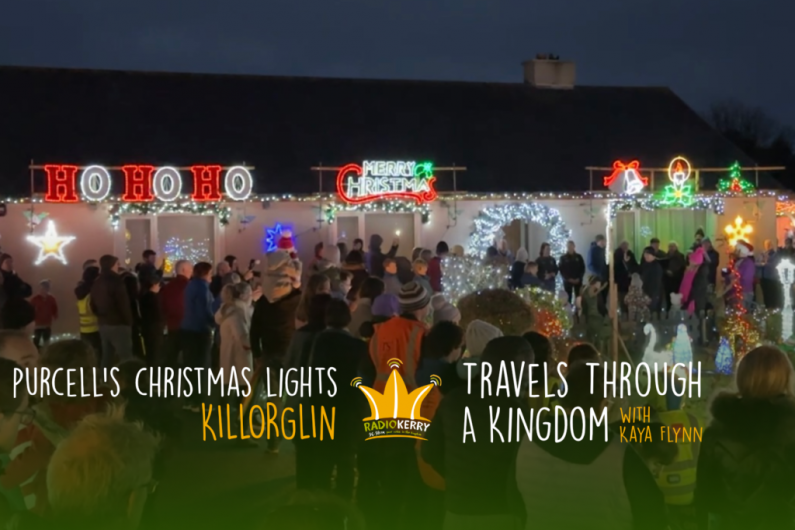 Purcell's Christmas Lights | Travels Through a Kingdom