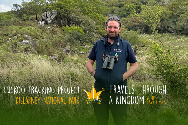 Cuckoos Return To Killarney National Park | Travels Through a Kingdom