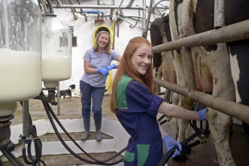 Only 204 female farmers in Kerry in Knowledge Transfer Scheme