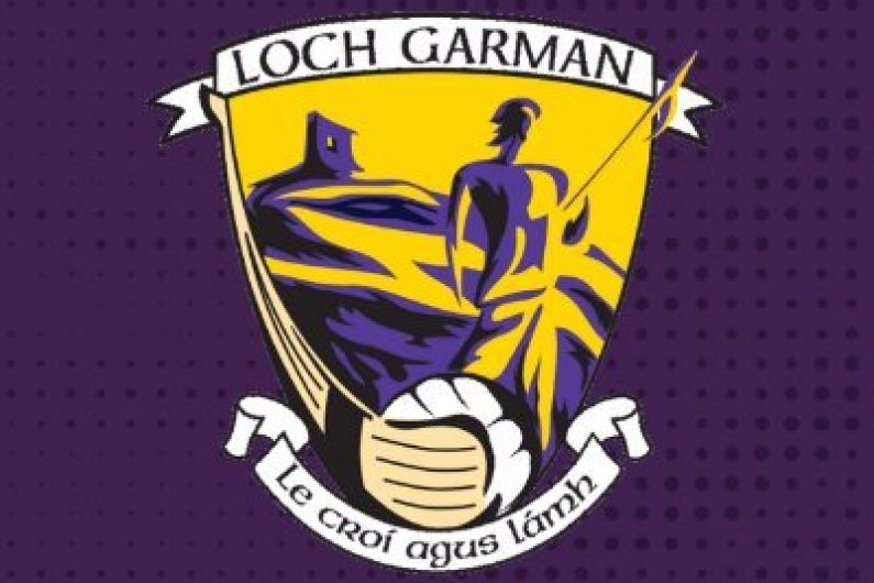 Chin an injury doubt for Wexford's Leinster opener