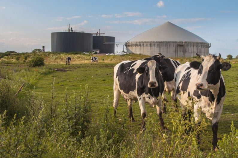 Report finds Kerry could produce enough biomethane to reduce emissions by 31,000 tonnes