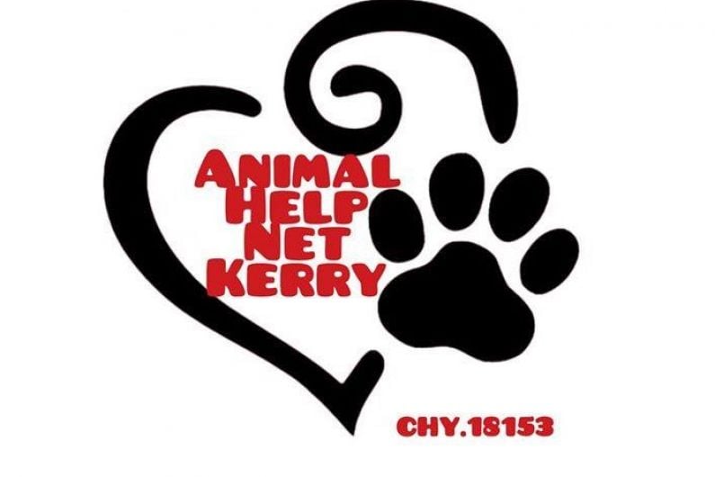 Animal welfare group fears dog found in Tralee used for dog-baiting