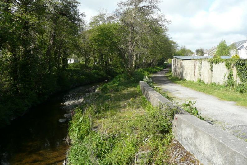 Mayor of Tralee says litter along river is disgraceful