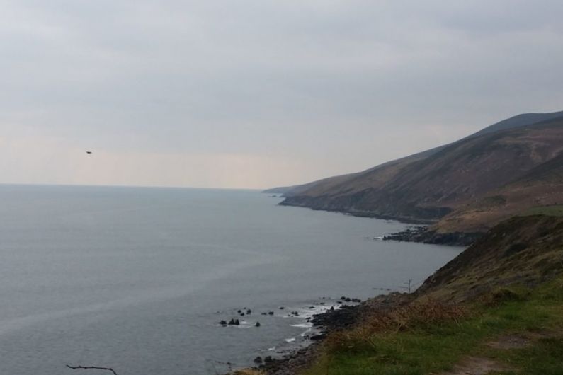 Marine conservationist says no time to waste to protect amazing species off Kerry coast