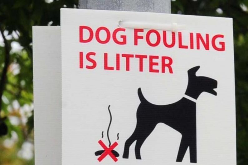 Kerry handed out highest number of fines for dog-fouling nationally last year
