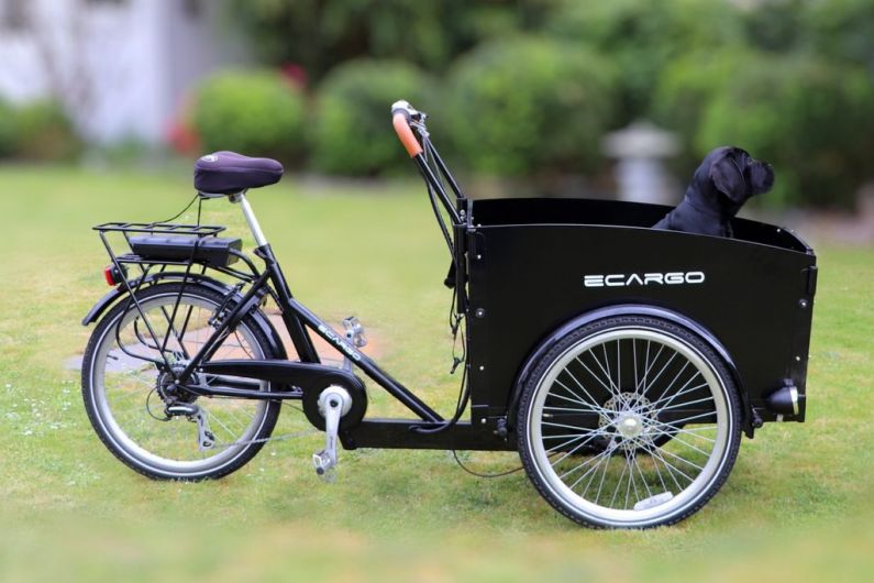 Ebikes and ecargo bikes on display at Tralee Farmers&rsquo; Market