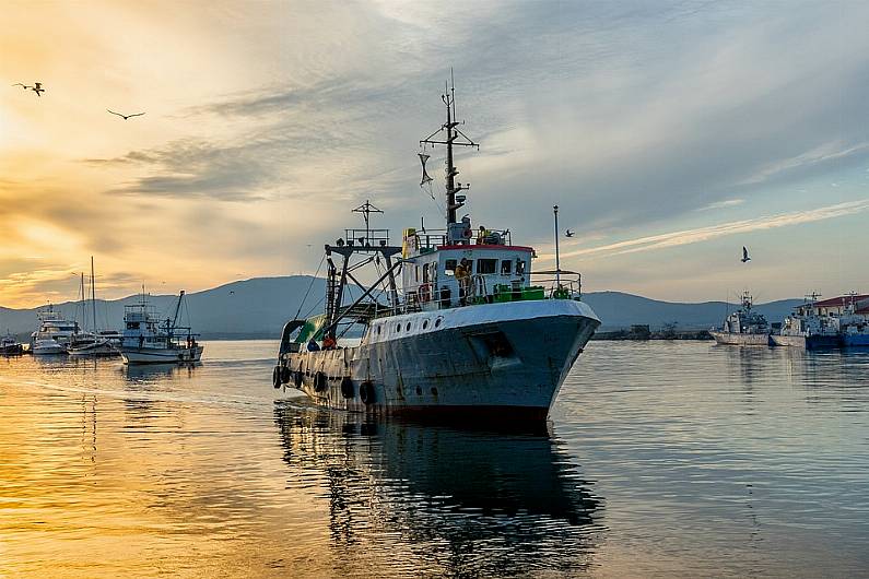 Over 17% increase in fish landings by foreign vessels recorded in Dingle harbour last year